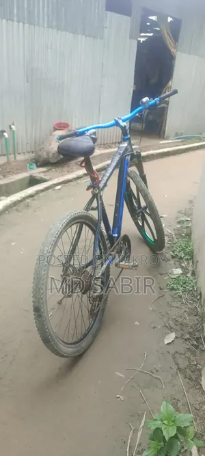 Bicycle 10