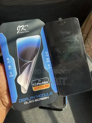 iPhone 15 Pro Max Display