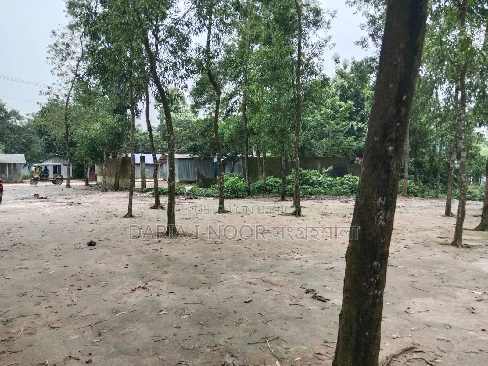 গাজিপুর সিটিতে ৪০ নং ওয়ার্ডে এক দাগে ৮ বিঘা