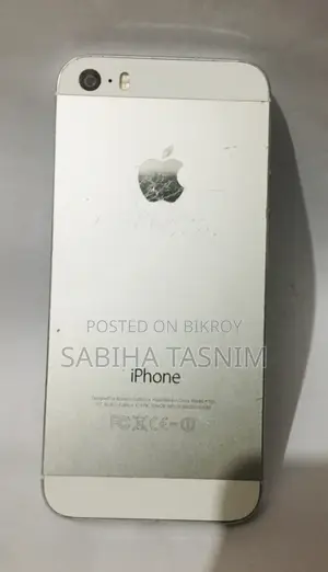Apple iPhone 5s 32 GB Silver