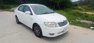 টয়োটা করোলা ২০০৬ সাদা