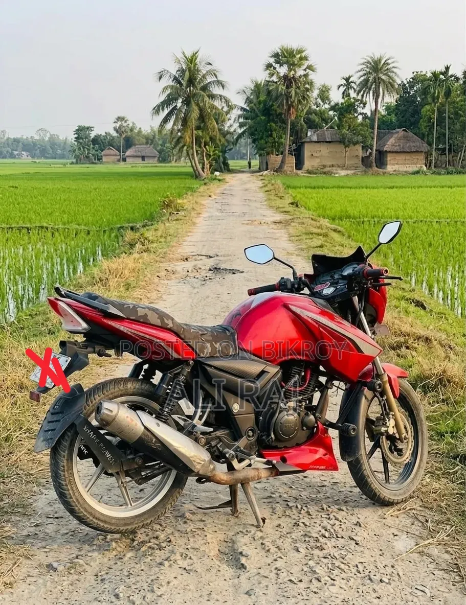 TVS Apache RTR 160 2V 2019 Red