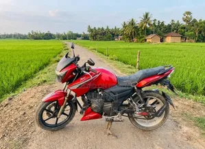 TVS Apache RTR 160 2V 2019 Red