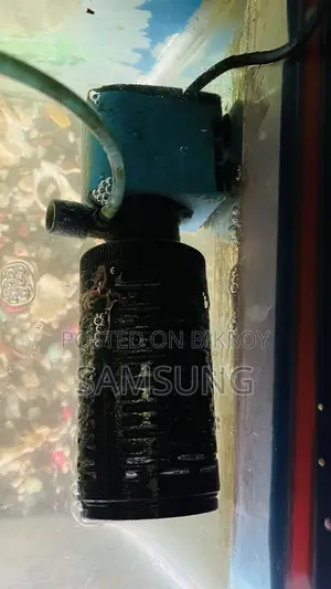 Aquarium for Sale