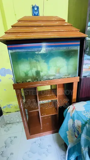 Aquarium for Sale