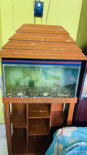 Aquarium for Sale