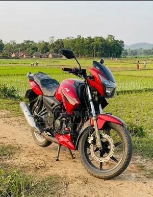 TVS Apache RTR 160 2V 2019 Red
