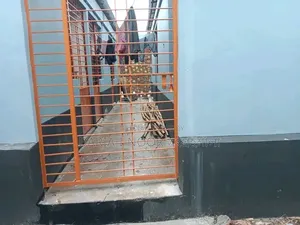 6-bedroom House in August 6, Gazipur Sadar for Sale