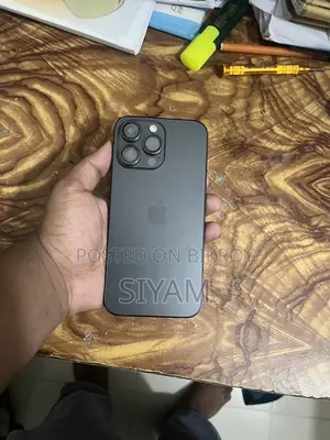 iPhone 14 Pro Max Body