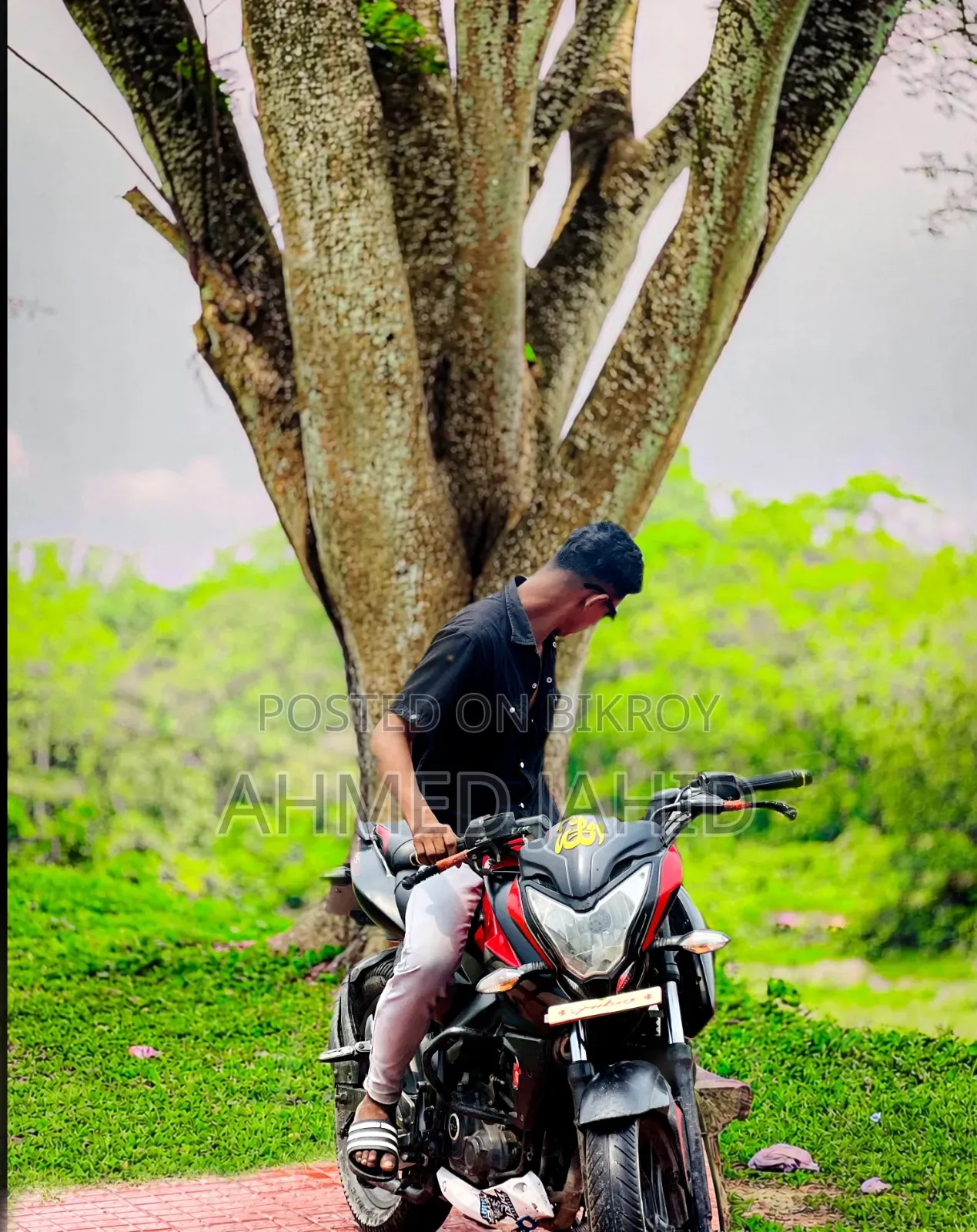 Bajaj Pulsar NS 160 2018 Black