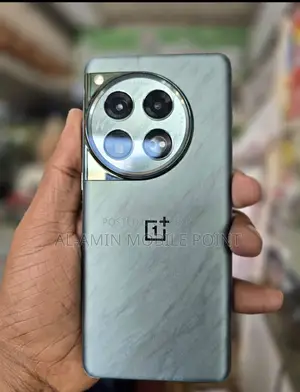 OnePlus 12 512 GB Gray