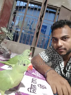 টিয়া পাখি