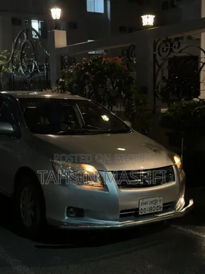 Toyota Axio 2008 Silver