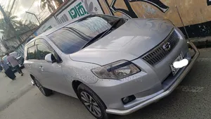 Toyota Corolla Fielder 2006 Silver