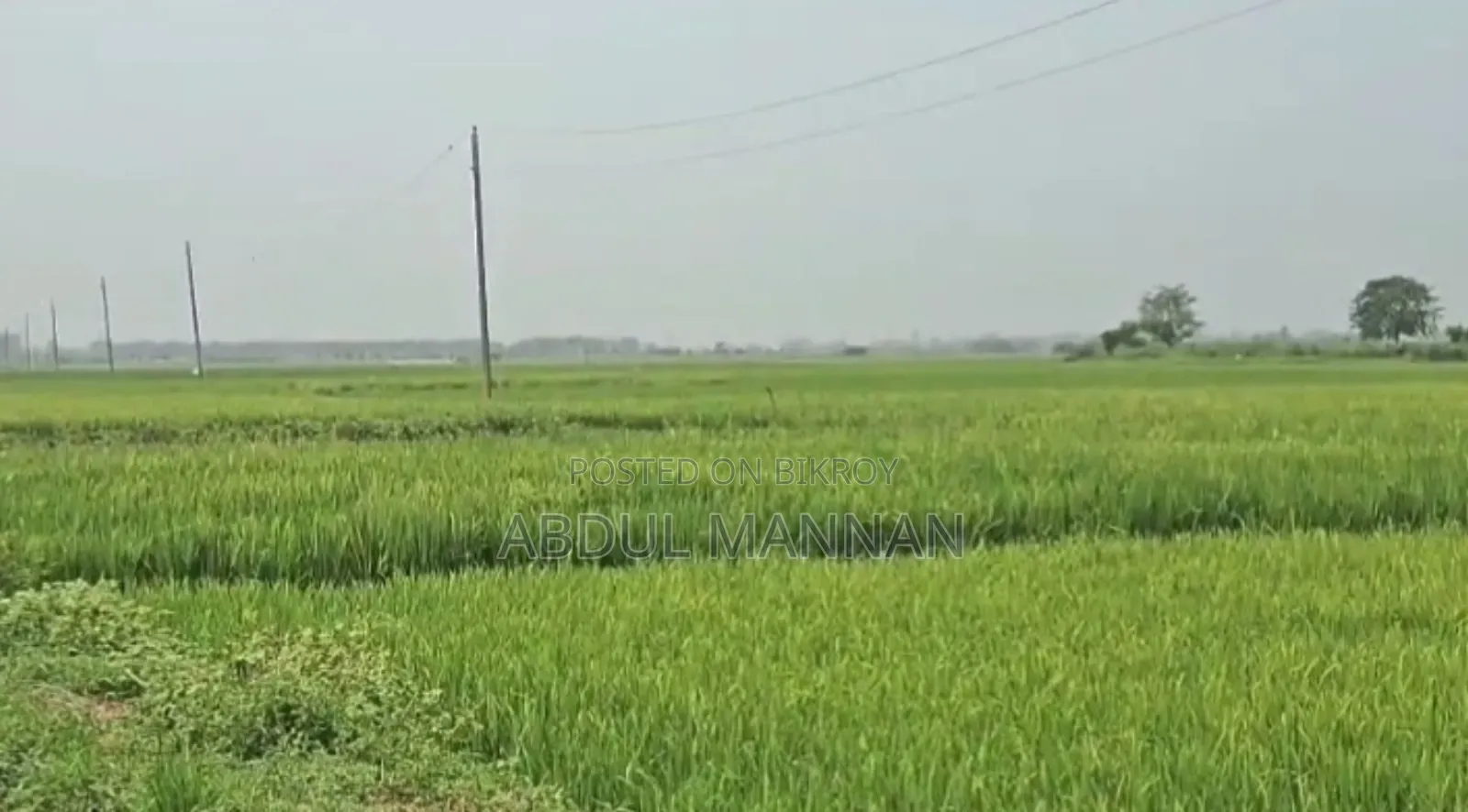 জমি বিক্রি হবে