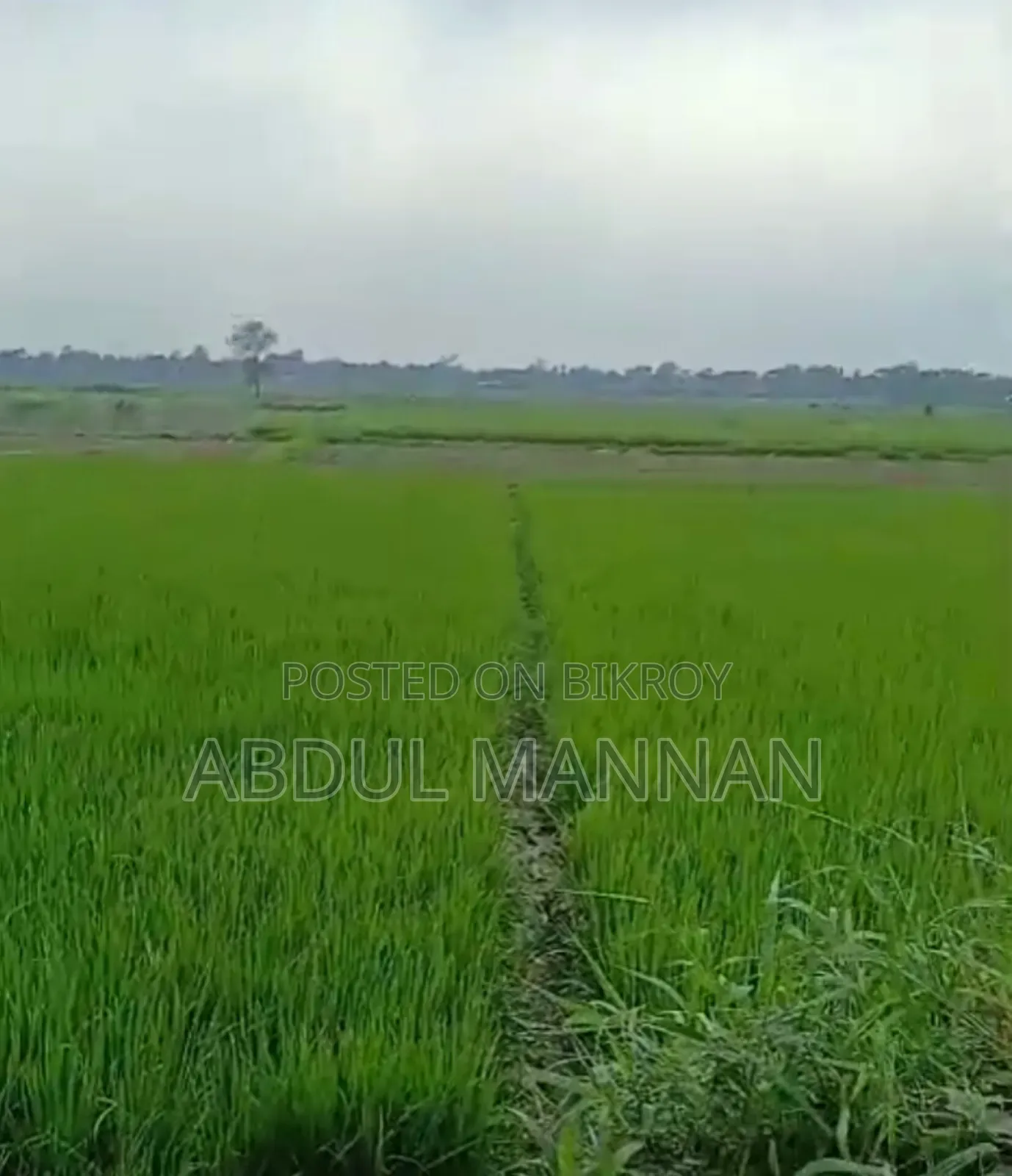 জমি বিক্রি হবে