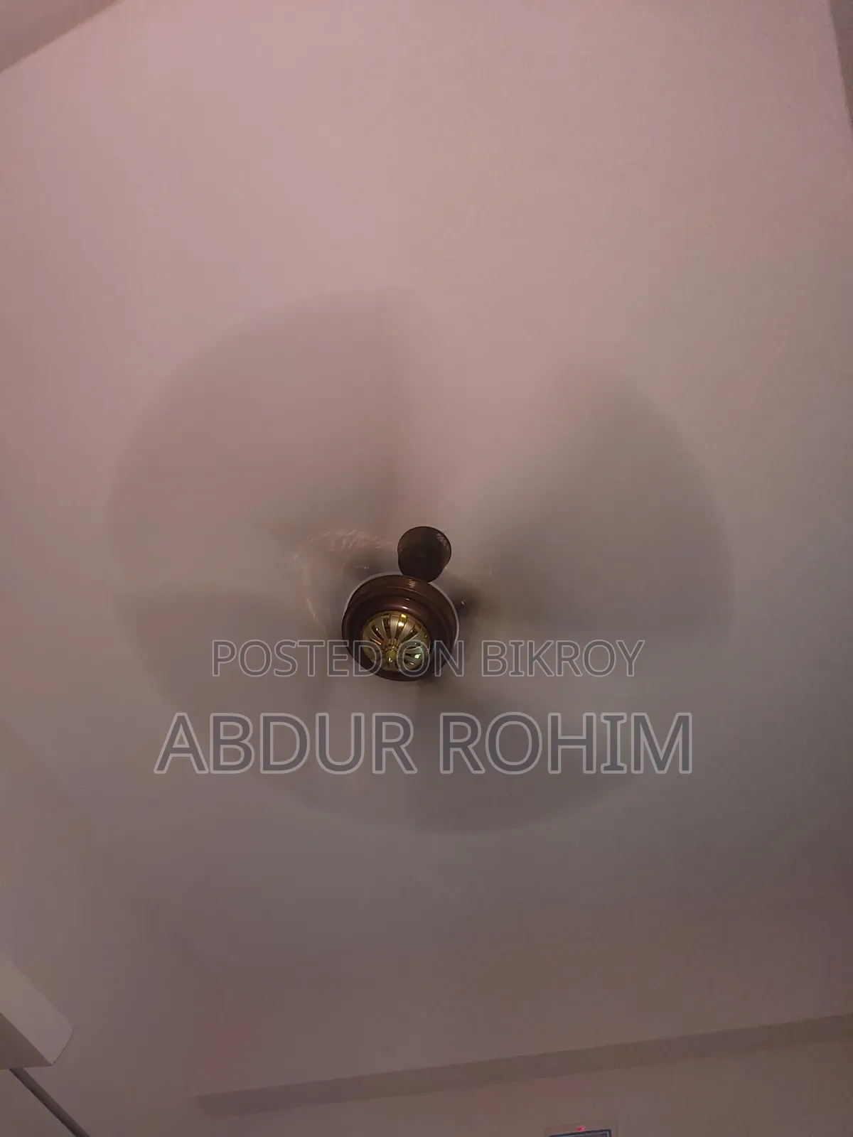 Original Pakistani Fan