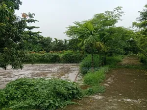 10 Bedroom House in August 2, Gazipur Sadar for Sale