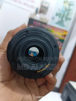 Canon 55-250 Zoom Lens