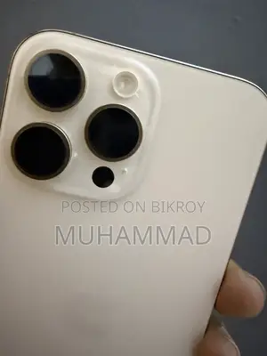 Apple iPhone 12 Pro Max 256 GB