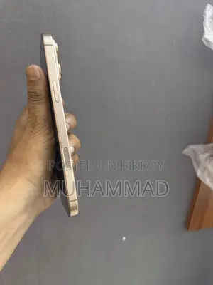 Apple iPhone 12 Pro Max 256 GB
