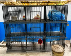 Large Cage