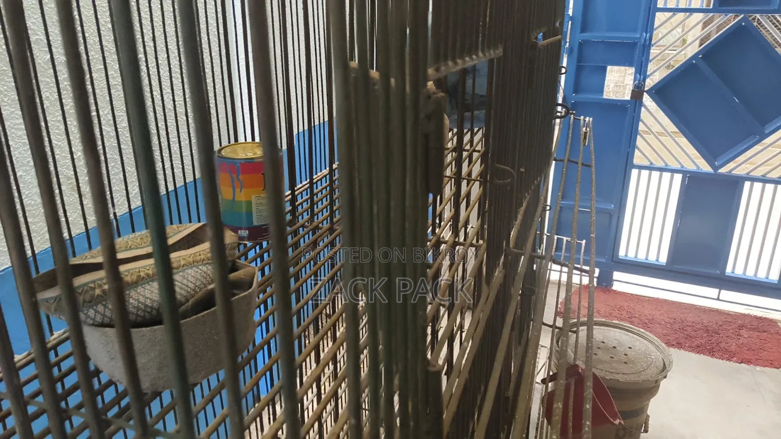 Large Cage