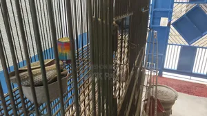 Large Cage