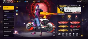 Free Fire Id Sell Dibo Only 2.