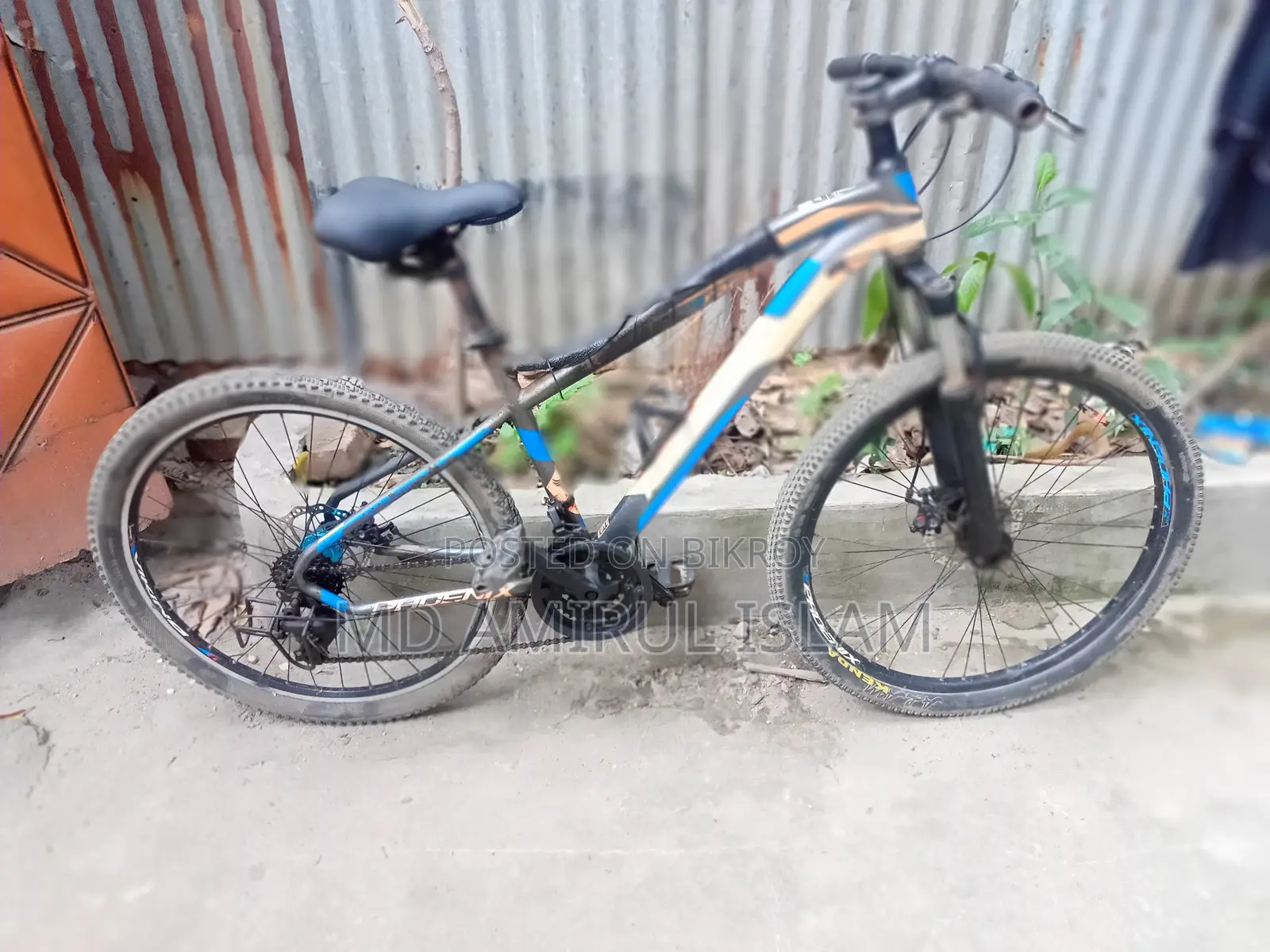 ফিনিক্স মাউন্টেন বাইক