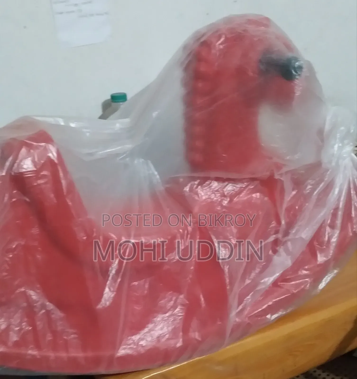 Plastic Horse