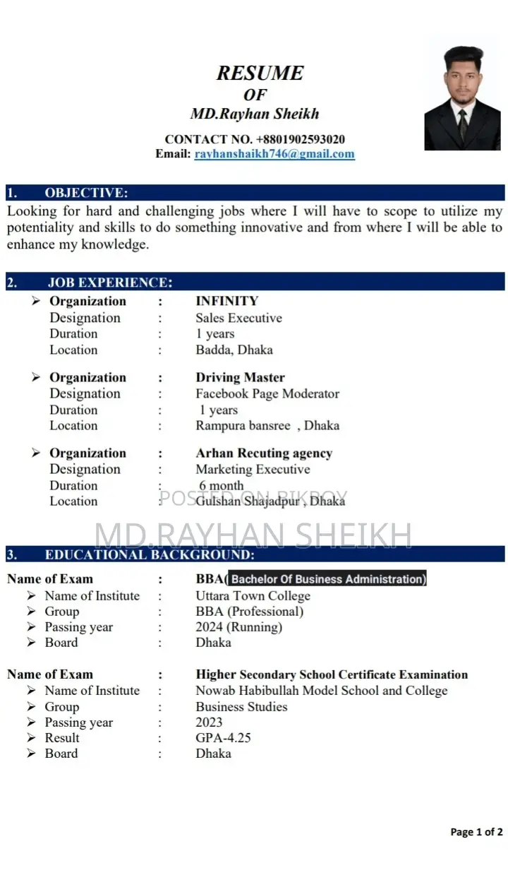 Marketing Executive