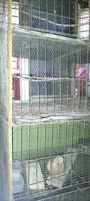 A four-story cage will be sold