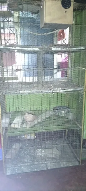 A four-story cage will be sold