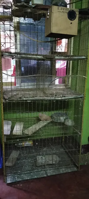 A four-story cage will be sold