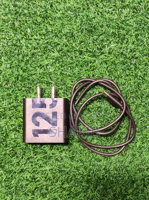 Motorola 125w Original Turbocharger | 50 Fusion Pro Charger