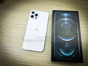 Apple iPhone 12 Pro Max 256 GB Silver
