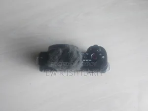Sony Zve 10