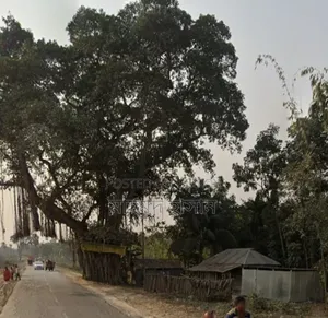 বসবাস করার মতন এক খন্ড জমি