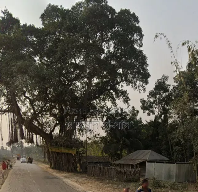 বসবাস করার মতন এক খন্ড জমি