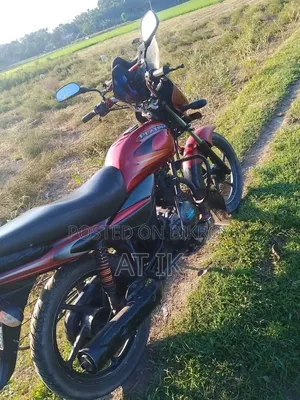 বাজাজ প্লাটিনা ১০০ ২০১৩ লাল