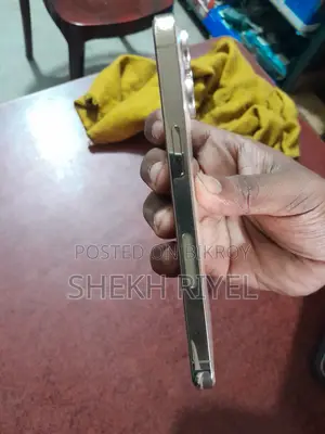 অ্যাপল আইফোন ১৩ প্রো ১২৮ জিবি গোল্ড