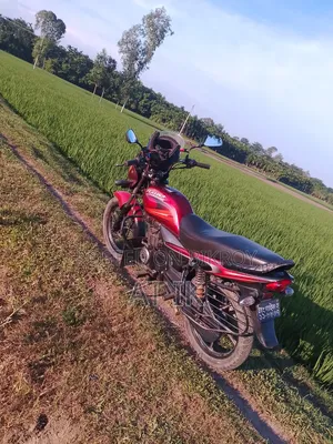 Bajaj Platina 100 2013 Red
