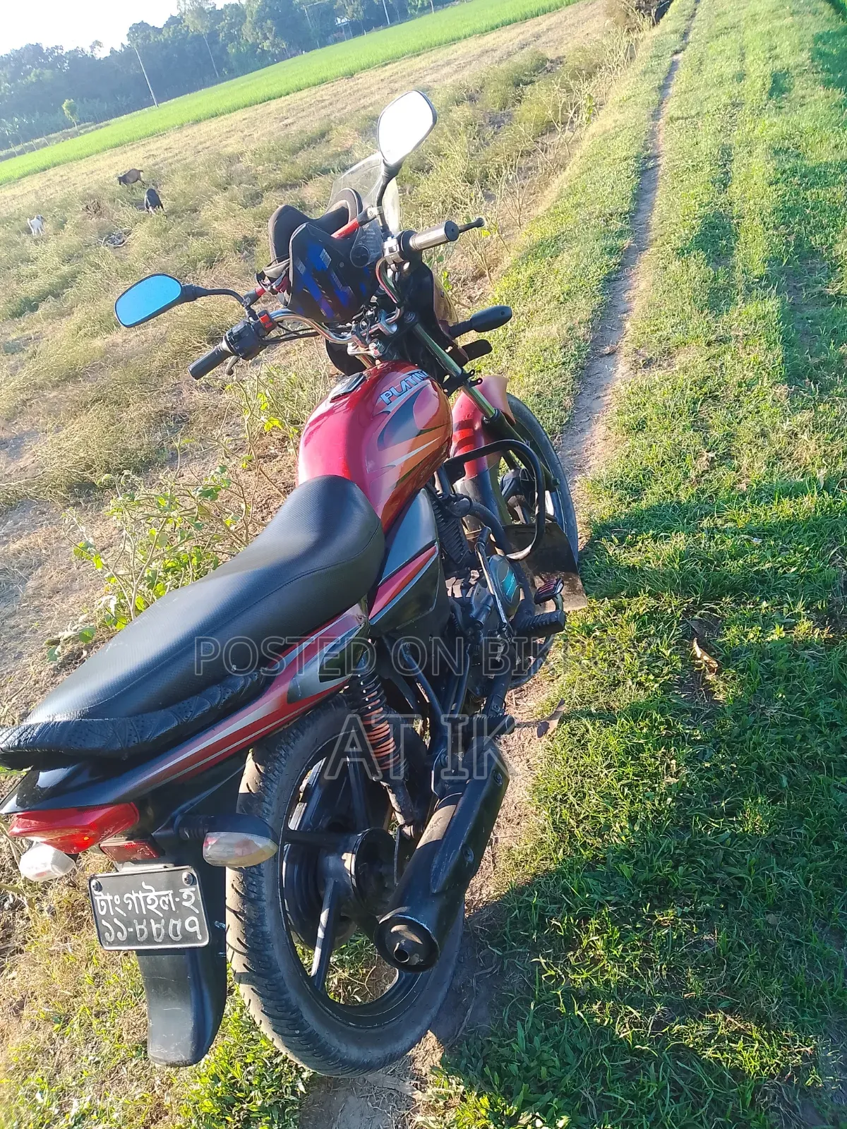 Bajaj Platina 100 2013 Red