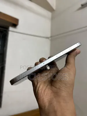 Apple iPhone 16 Pro Max 256 GB Gray