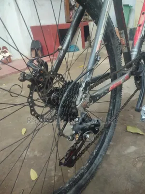 Riding Bicycle