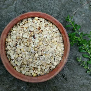 Bean Seed
