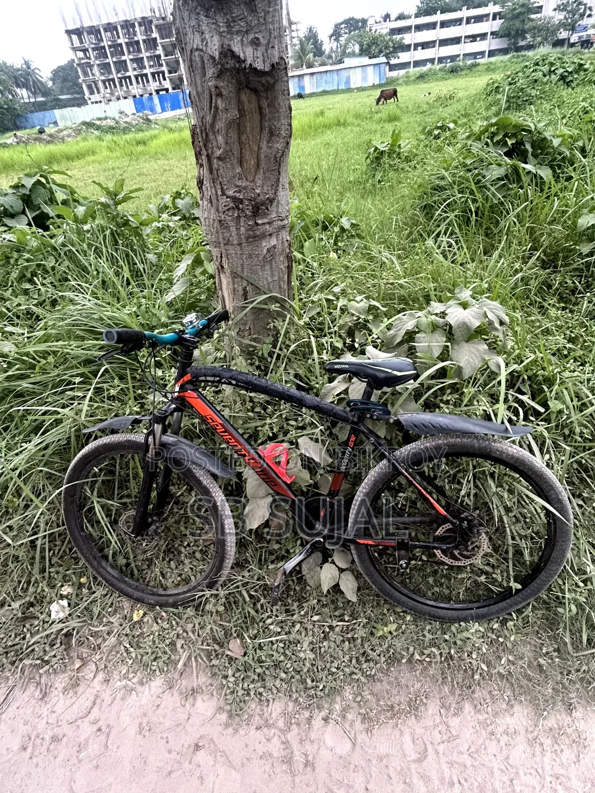 Sr Sujal11