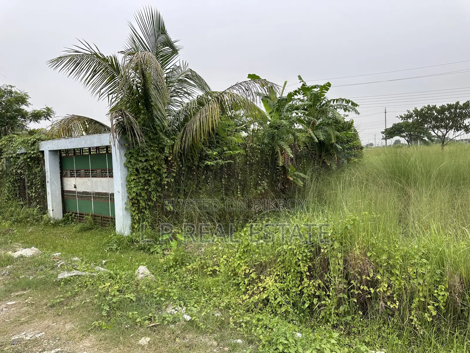 পি-ব্লক, (৩+৩)=৬ কাঠা, প্লট জরুরি বিক্রয়, বসুন্ধরা আর/এ