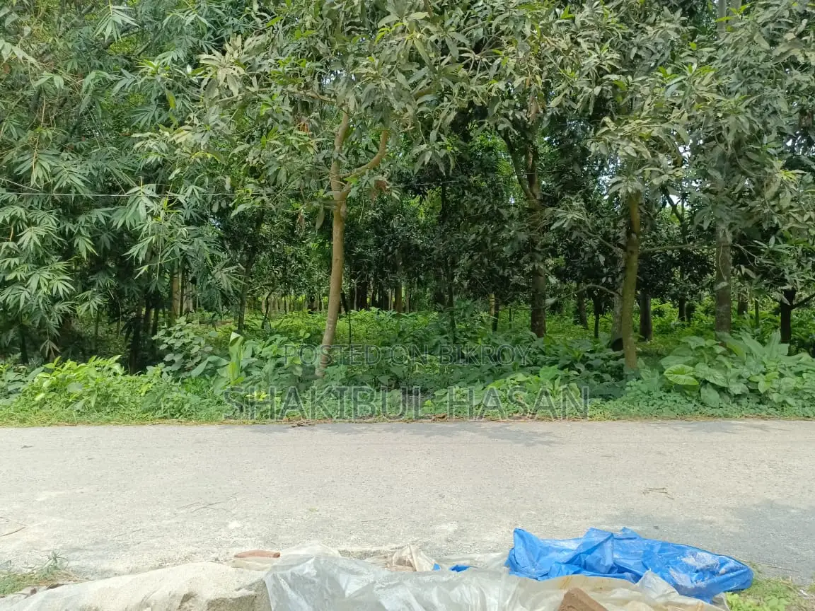 ৮ শতক জমি